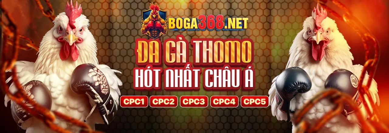 Hình ảnh chính Câu hỏi thường gặp về 55vin đăng nhập